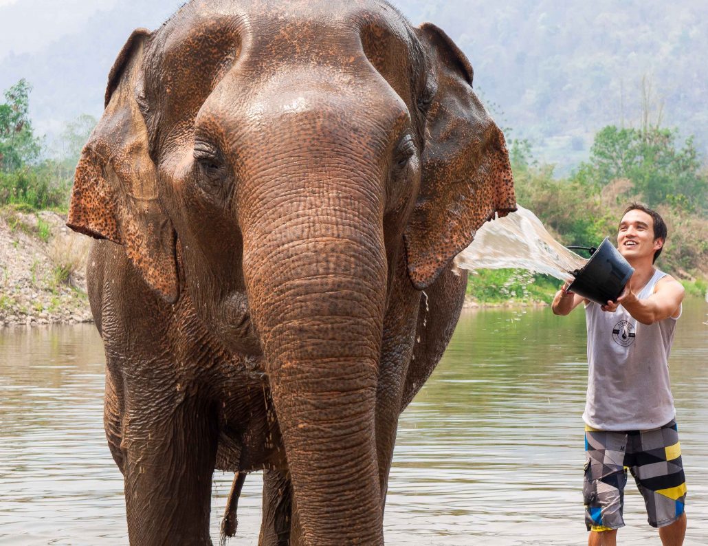 Thailand Elephant Park_003